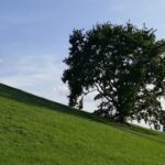 傾斜地を活用するにはどうすればいい？